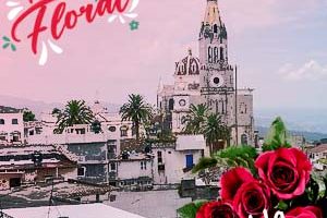 Florerías en Puebla